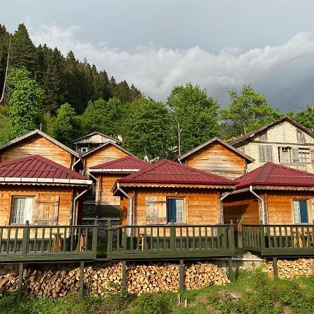 Pilita Bungalov&Rest Ayder Yaylasi Buitenkant foto