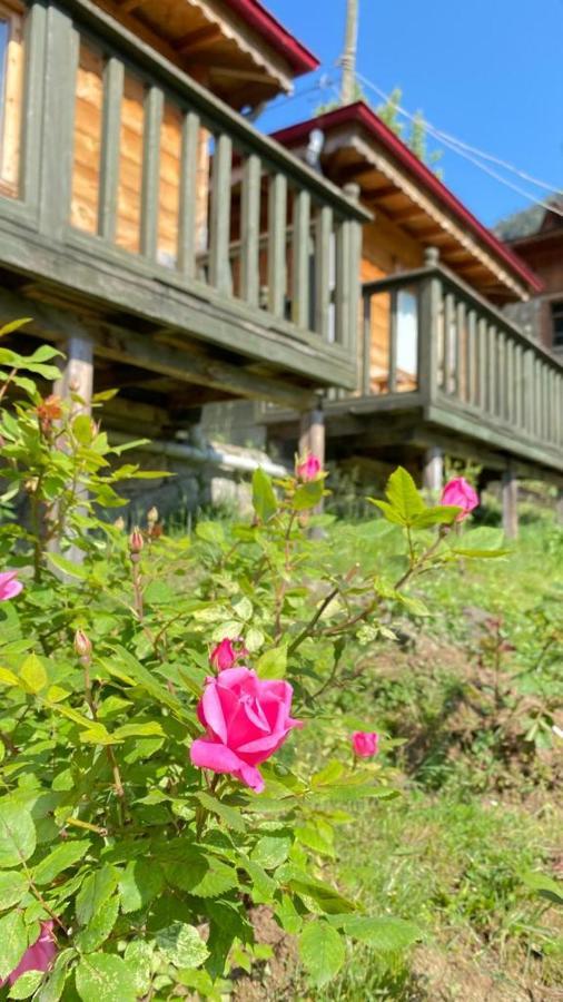 Pilita Bungalov&Rest Ayder Yaylasi Buitenkant foto