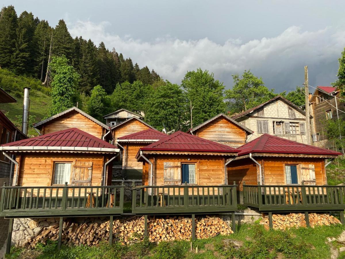 Pilita Bungalov&Rest Ayder Yaylasi Buitenkant foto