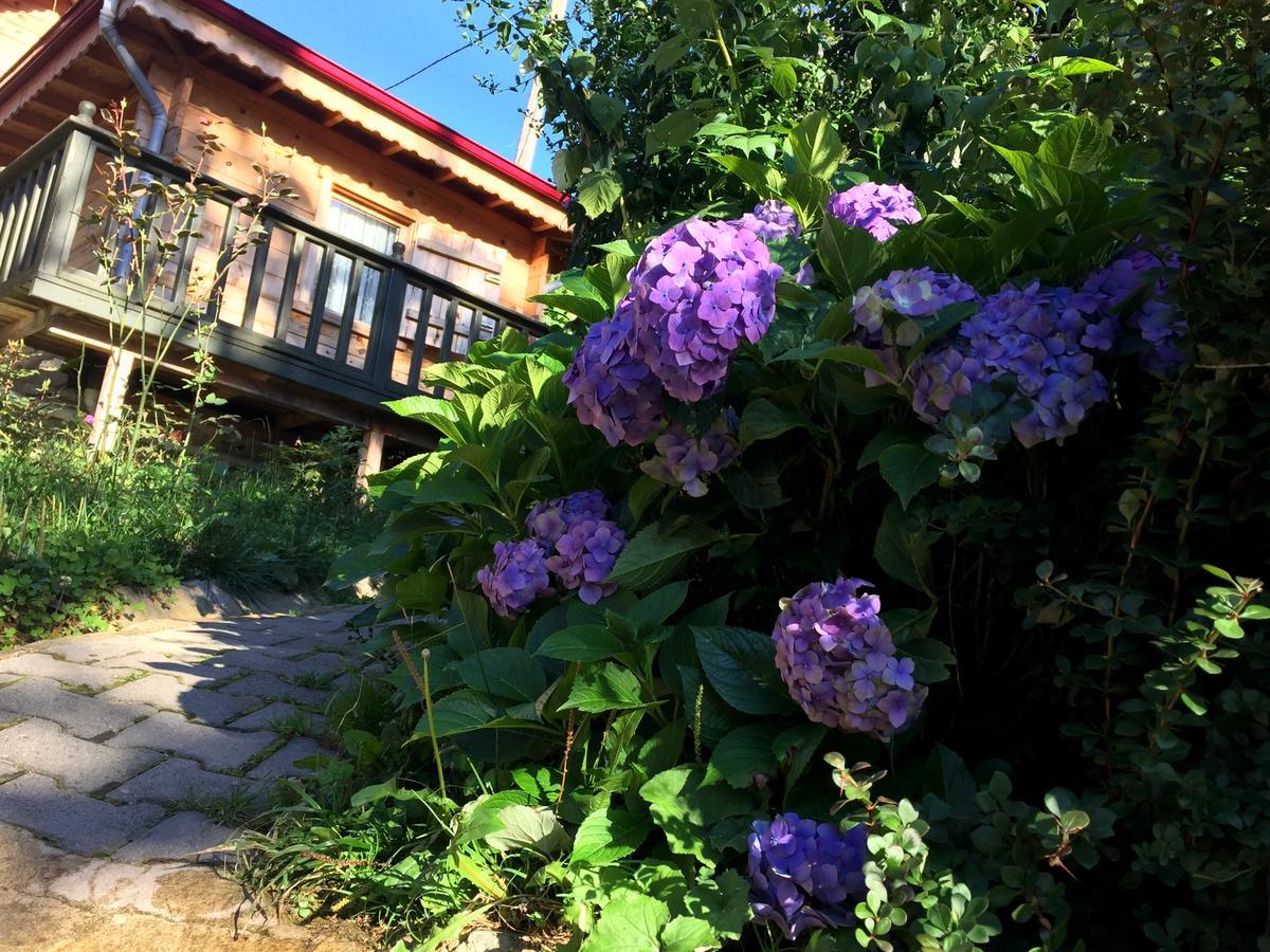 Pilita Bungalov&Rest Ayder Yaylasi Buitenkant foto